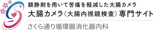 鎮静剤を用いて苦痛を軽減した大腸カメラ 大腸カメラ（大腸内視鏡検査）専門サイト さくら通り循環器消化器内科