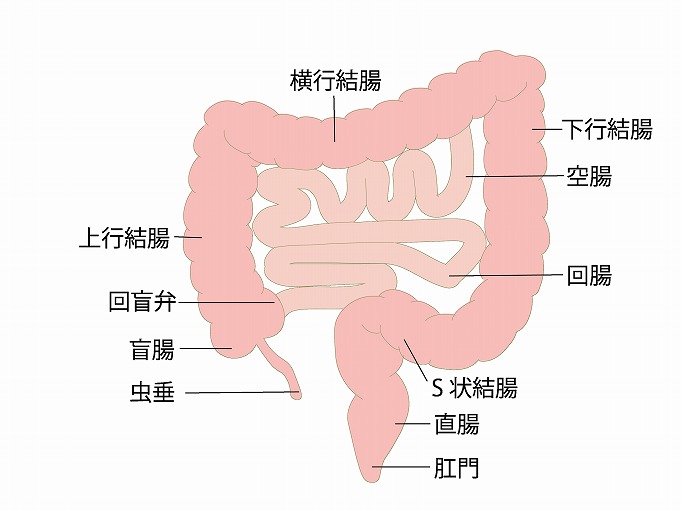 早期治療のための早期発見。「5年後生存率」から見るその重要性
